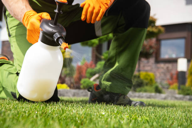 Best Pest Inspection Near Me  in Parker City, IN
