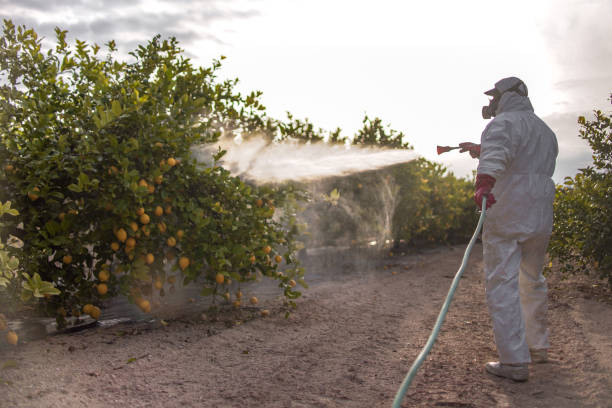 Best Mosquito Control Services  in Parker City, IN