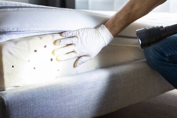 Professional Pest Control in Parker City, IN