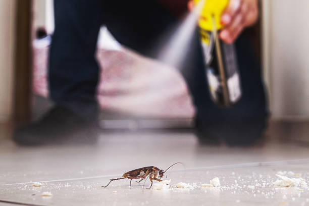 Best Best Pest Control Companies  in Parker City, IN